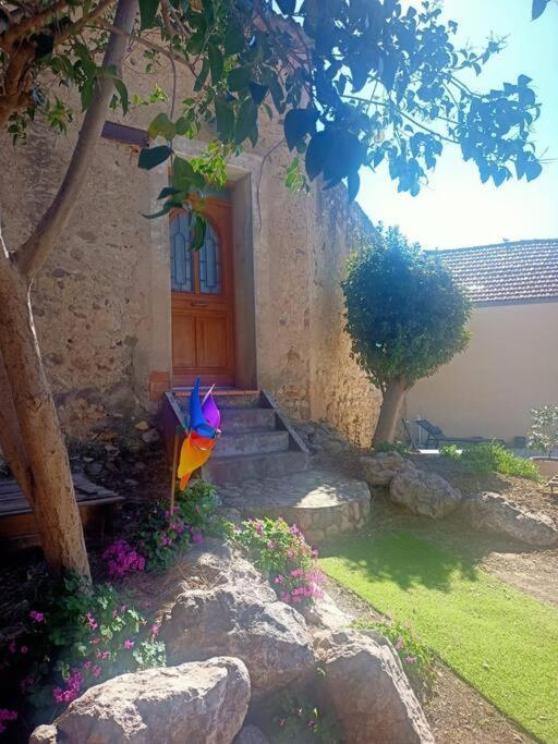 Le Clos Du Pin Thezan-les-Beziers エクステリア 写真